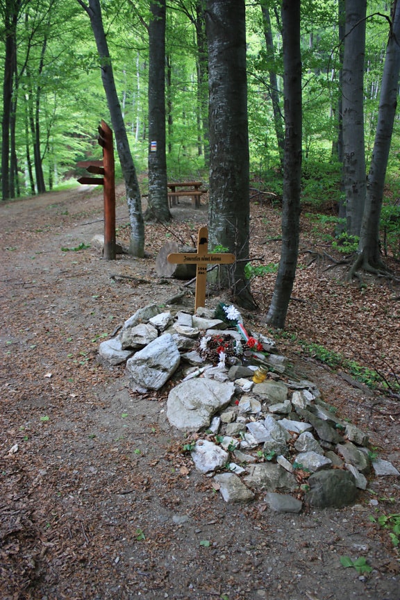 Wooden cross on stone grave in forest in national park