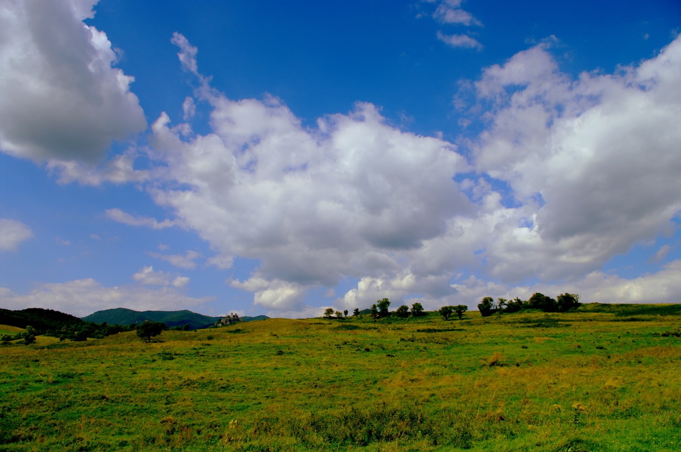 Желто-зеленый равнинный склон холма с облаками на голубом небе