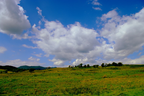 Yellow green plain hillside with clouds on blue sky
