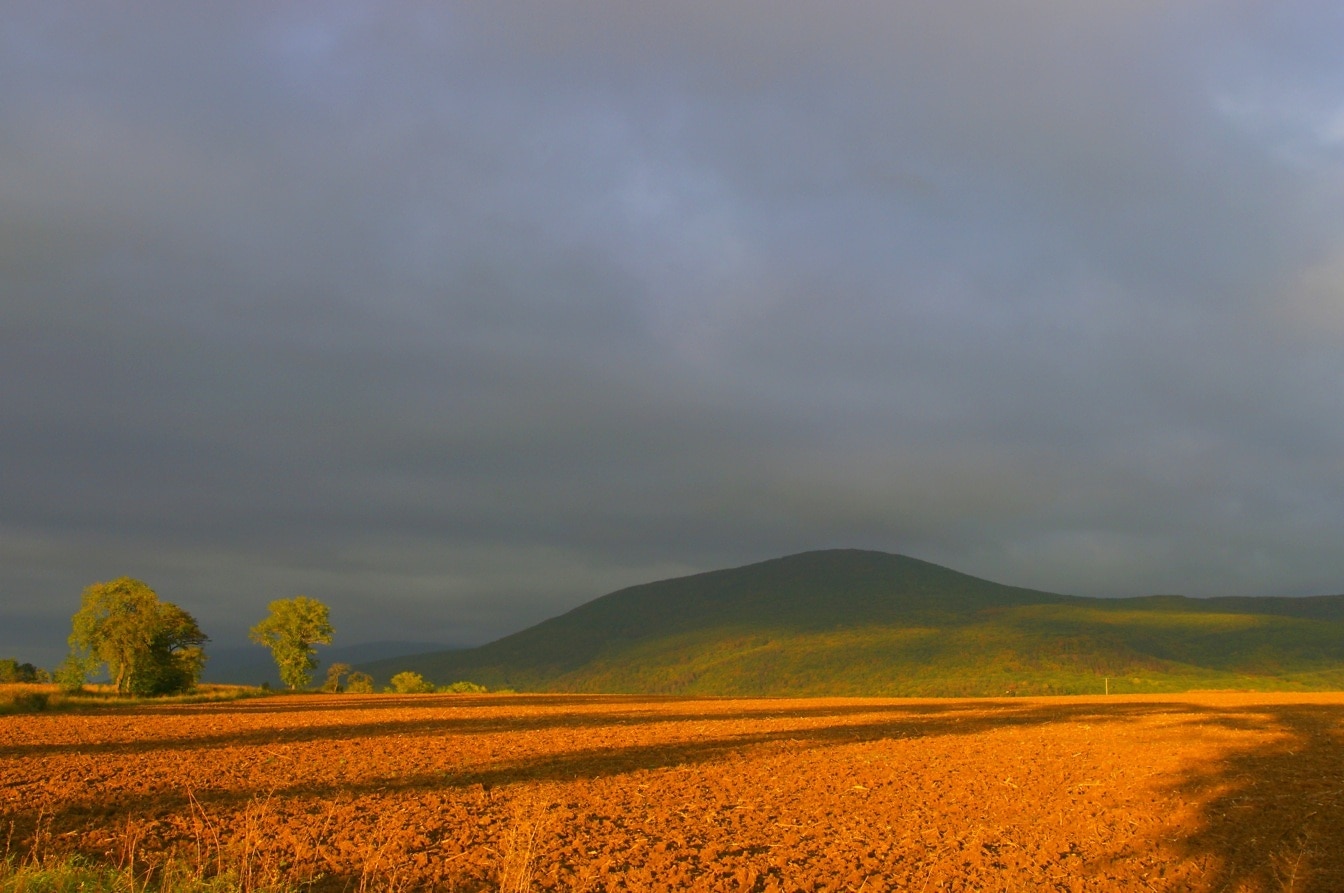 晴れた午後の緑の丘を背景にした畑の平面図