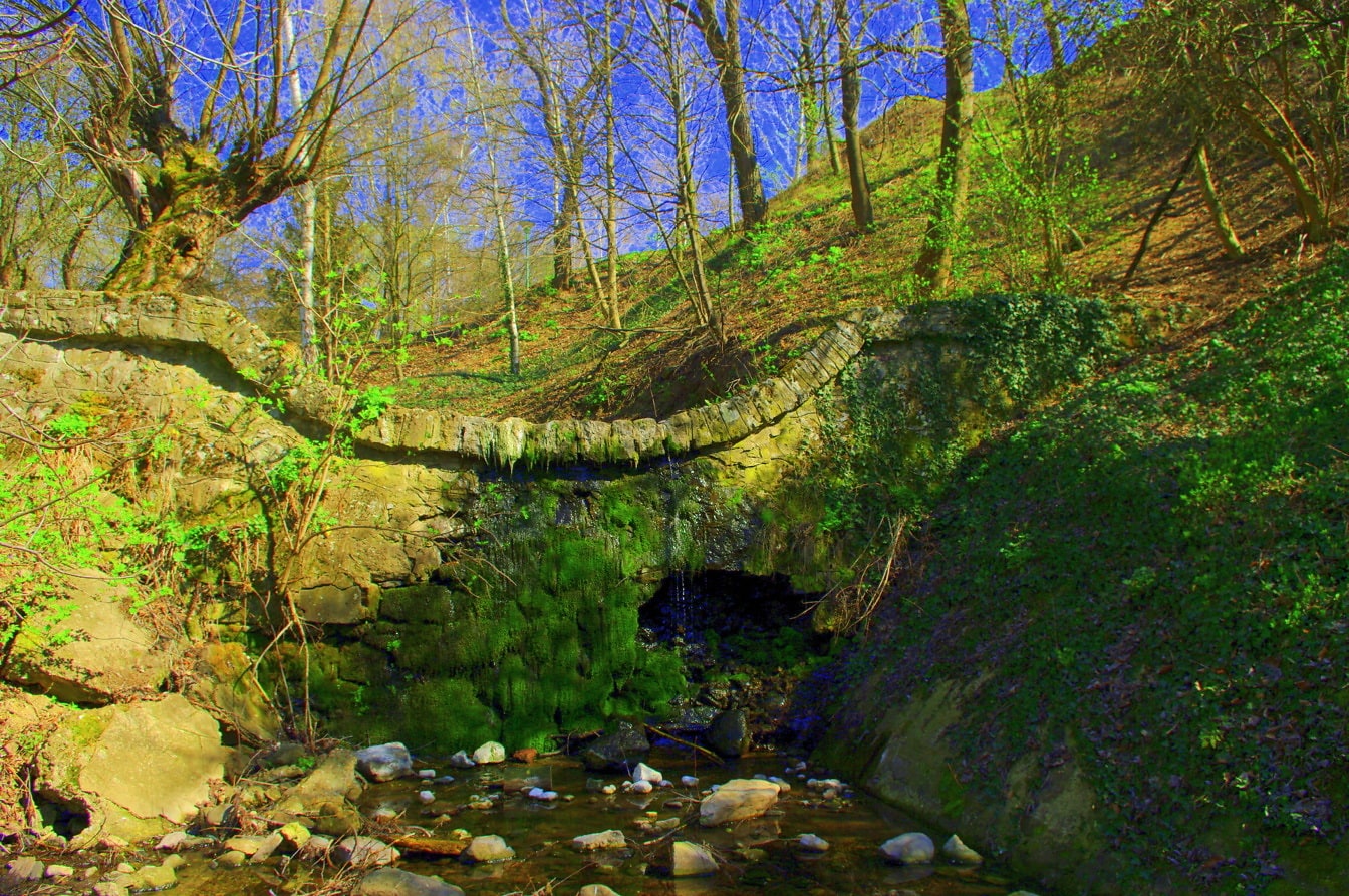 Średniowieczny kamienny most w lesie ze skalistą rzeką