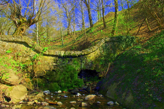 Mittelalterliche Steinmauerbrücke im Wald mit felsigem Fluss