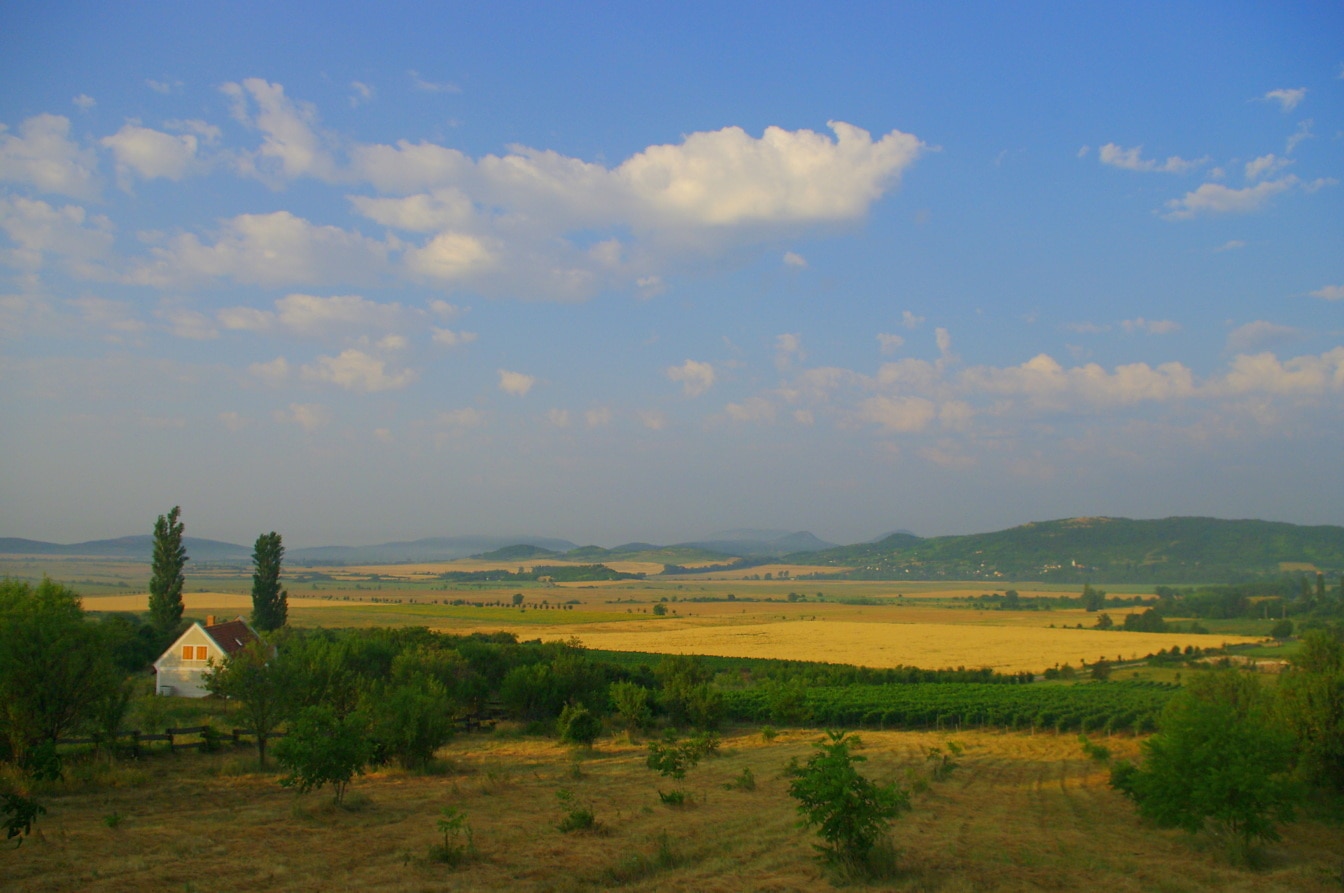 Panoramski pogled na poljoprivredna polja i vinograd s seoskom kućom