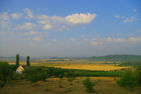 Panoramic view of agricultural fields and vineyard with farmhouse
