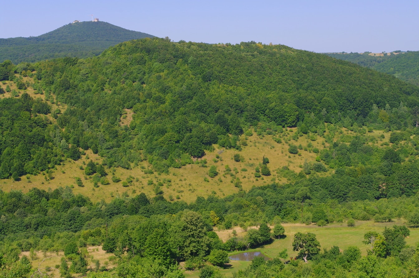 Zielony pagórek na zboczu wzgórza w Parku Narodowym Węgier