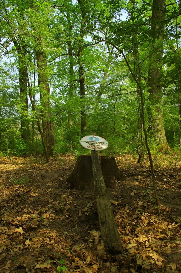 Abandoned information sign in forest