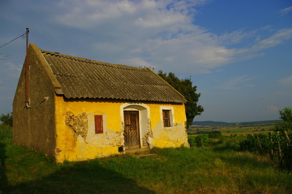 Old rustic farmhouse with vineyard on farmland in countryside