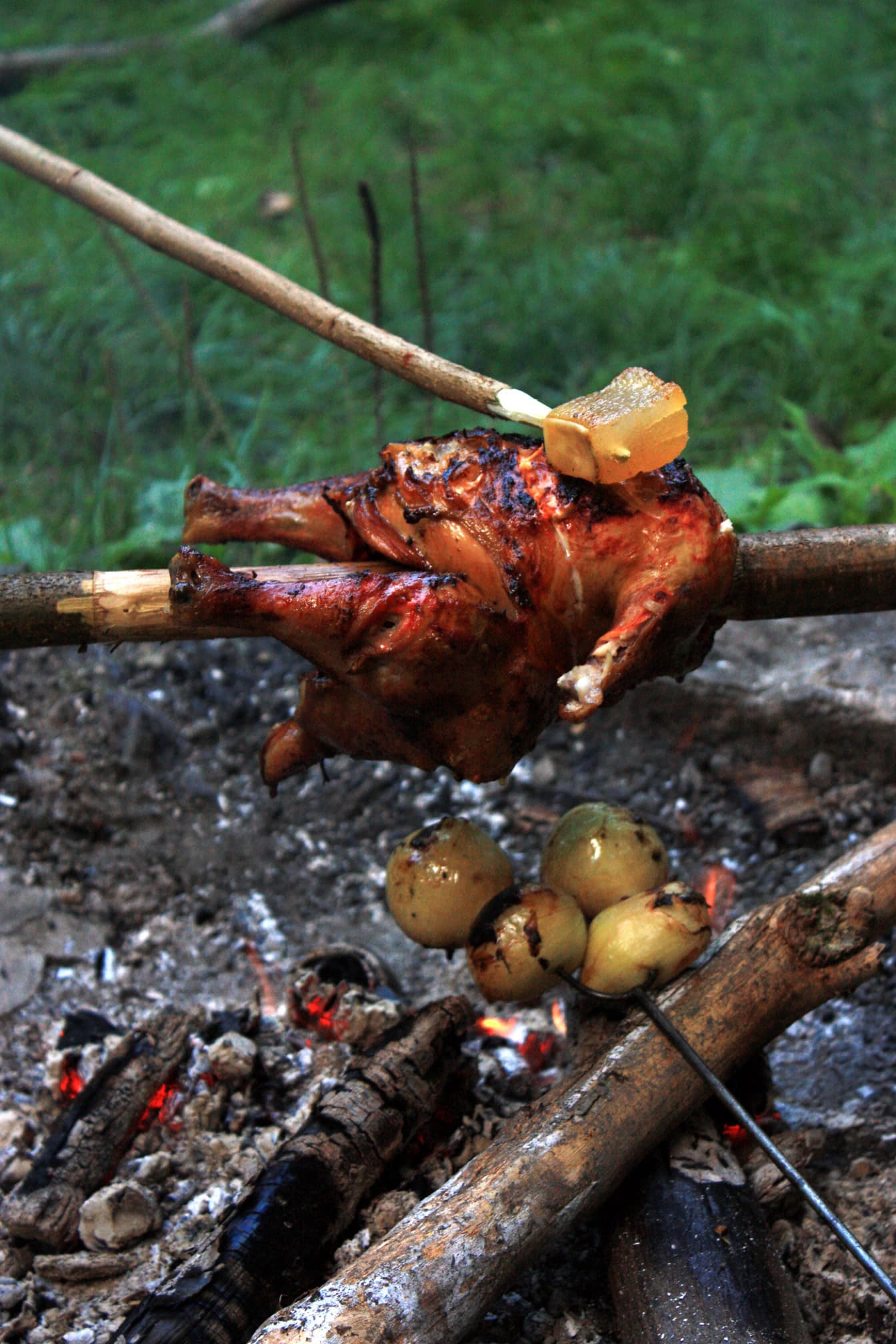 Checken and onion on barbecue on campfire
