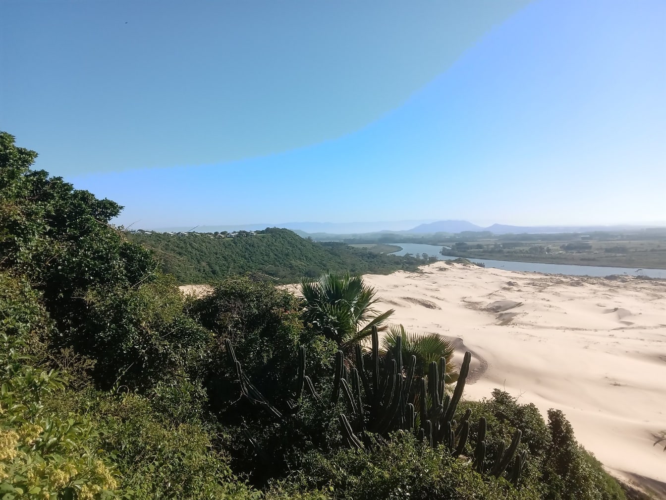 Hệ thực vật nhiệt đới trên bãi biển cát Morro dos Conventos