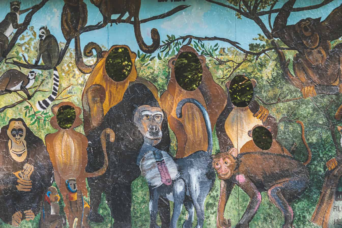 ภาพประกอบวินเทจสีสันสดใสของลิงในสวนสนุก