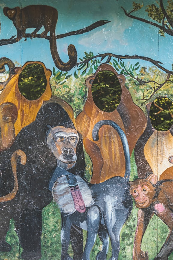 Farebná ilustrácia opice na drevotrieskovej doske v zábavnom parku zoo