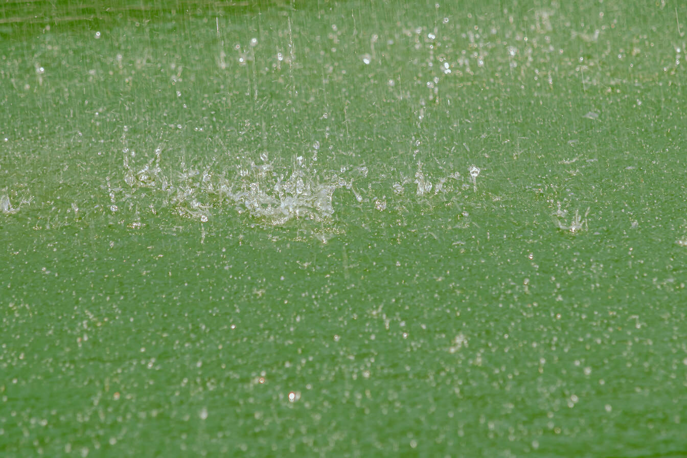Detailný záber dažďových kvapiek na zelenej vodnej hladine
