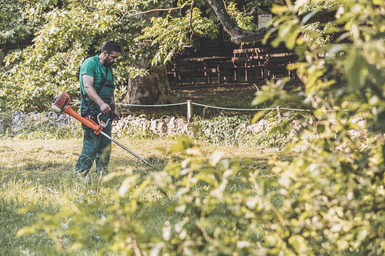 Ammattitaitoinen työntekijä, joka leikkaa ruohoa puistossa trimmeriruohonleikkurilla