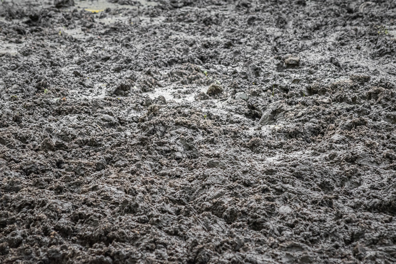 젖은 더러운 진흙 땅 클로즈업 텍스처
