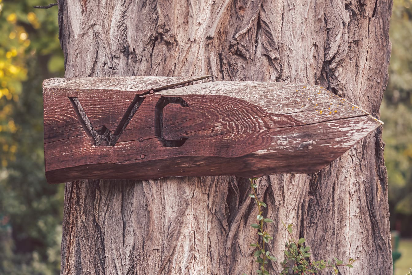 Letrero de inodoro rústico de madera en el tronco del árbol