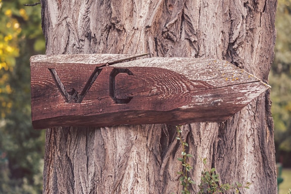 Дерев’яна табличка туалету в сільському стилі на стовбурі дерева