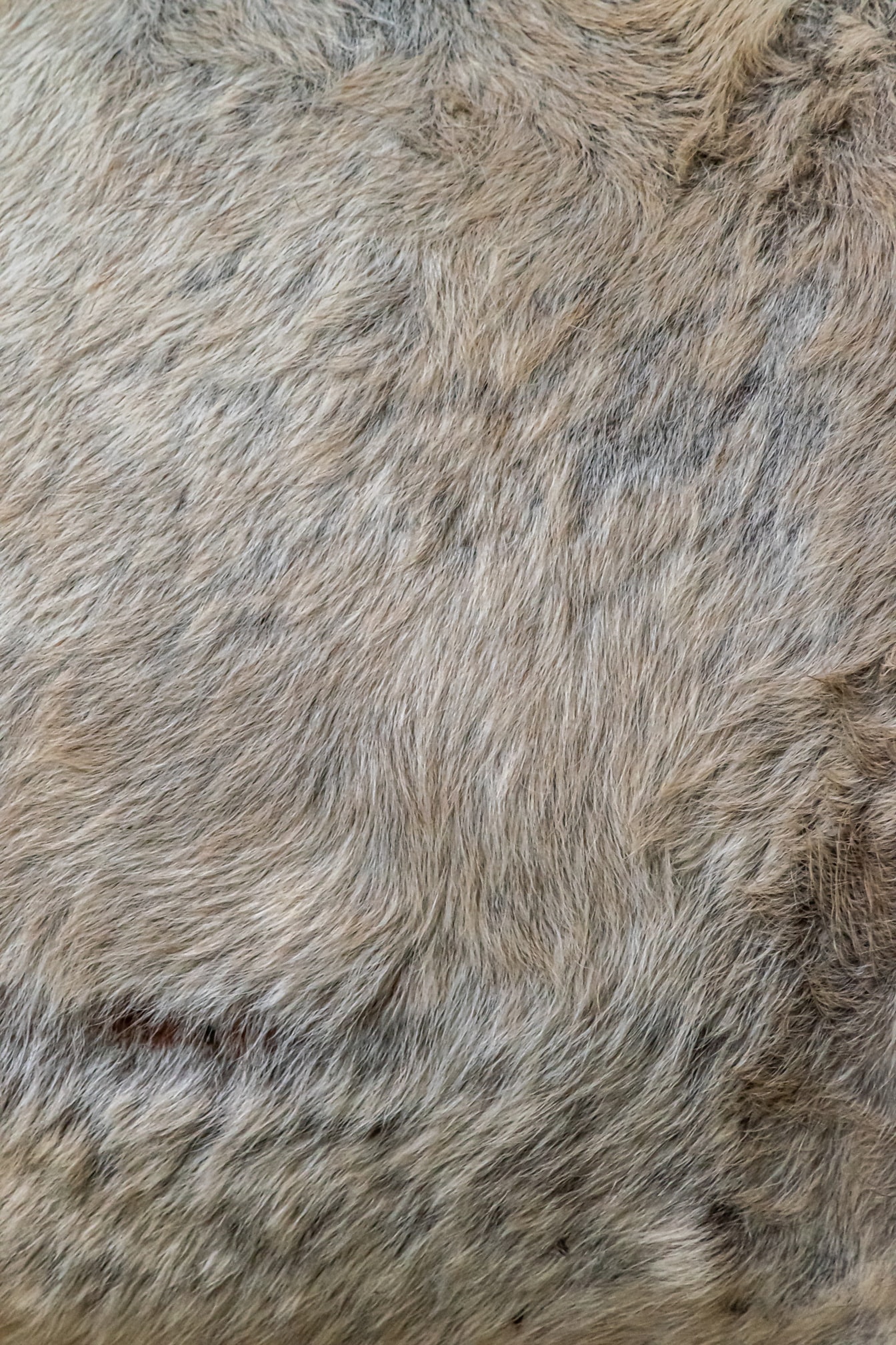 Текстура в близък план на светлокафява козина