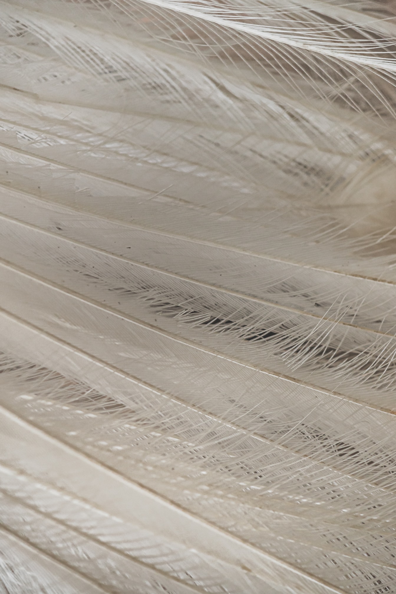 Textúra bieleho peria zblízka