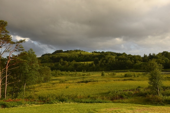 Heure d’été à flanc de colline jaune verdâtre avec des nuages gris foncé