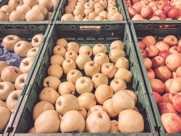 Pommes biologiques, fruits frais dans des boîtes en plastique sur le marché