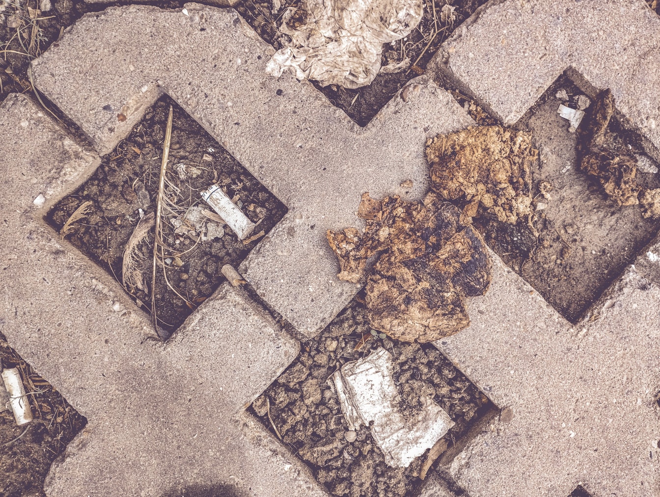 Garbage and excrement on concrete paving stone close-up