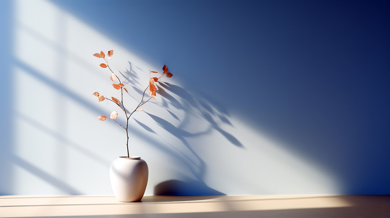 Kortárs minimalista kerámia edény üres szobában, puha árnyékban