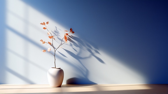 现代极简主义陶瓷锅在柔和的阴影下空荡荡的房间里