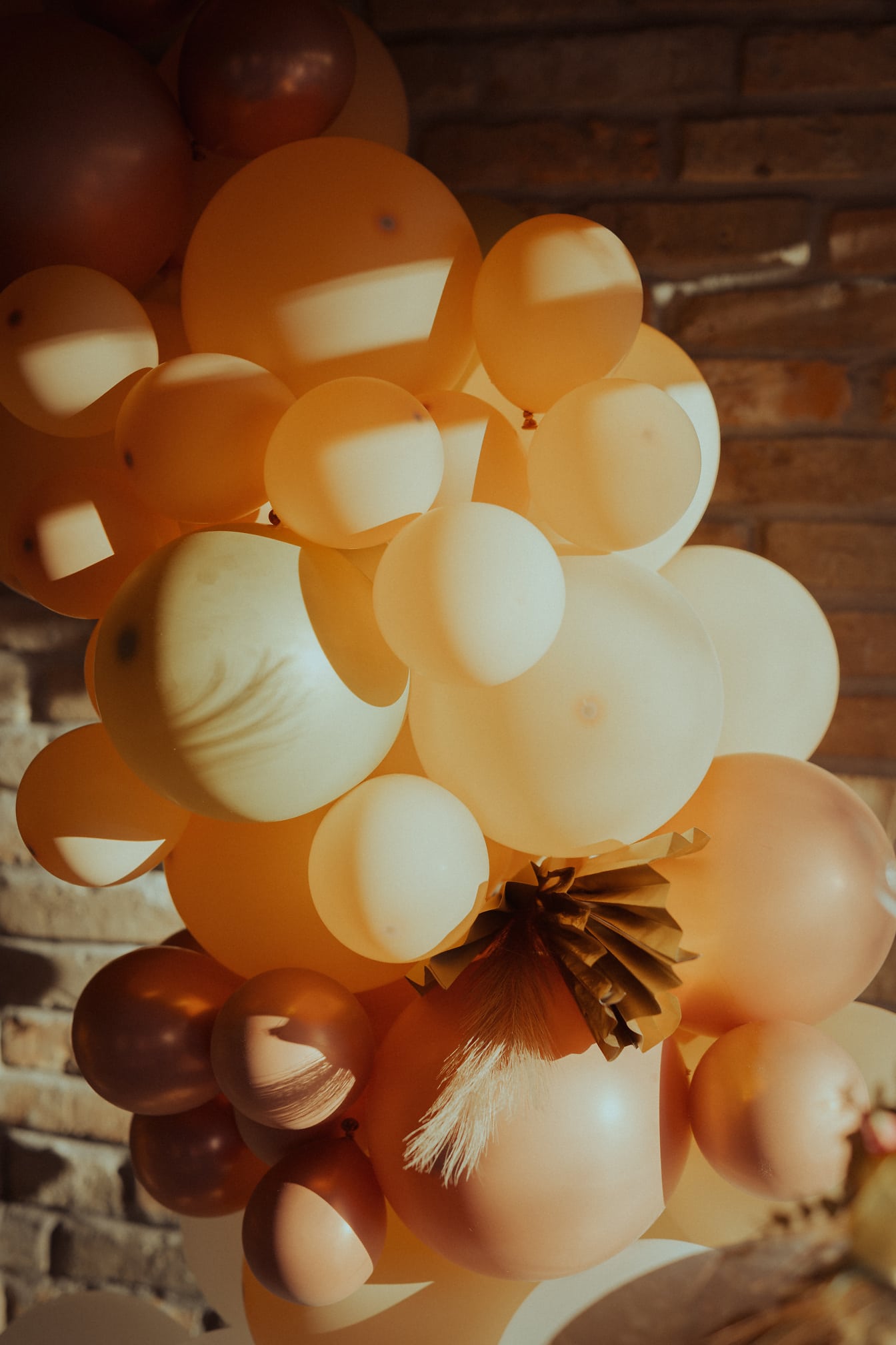 Güneş ışığı doğum günü partisinde pastel açık kahverengi balonlar