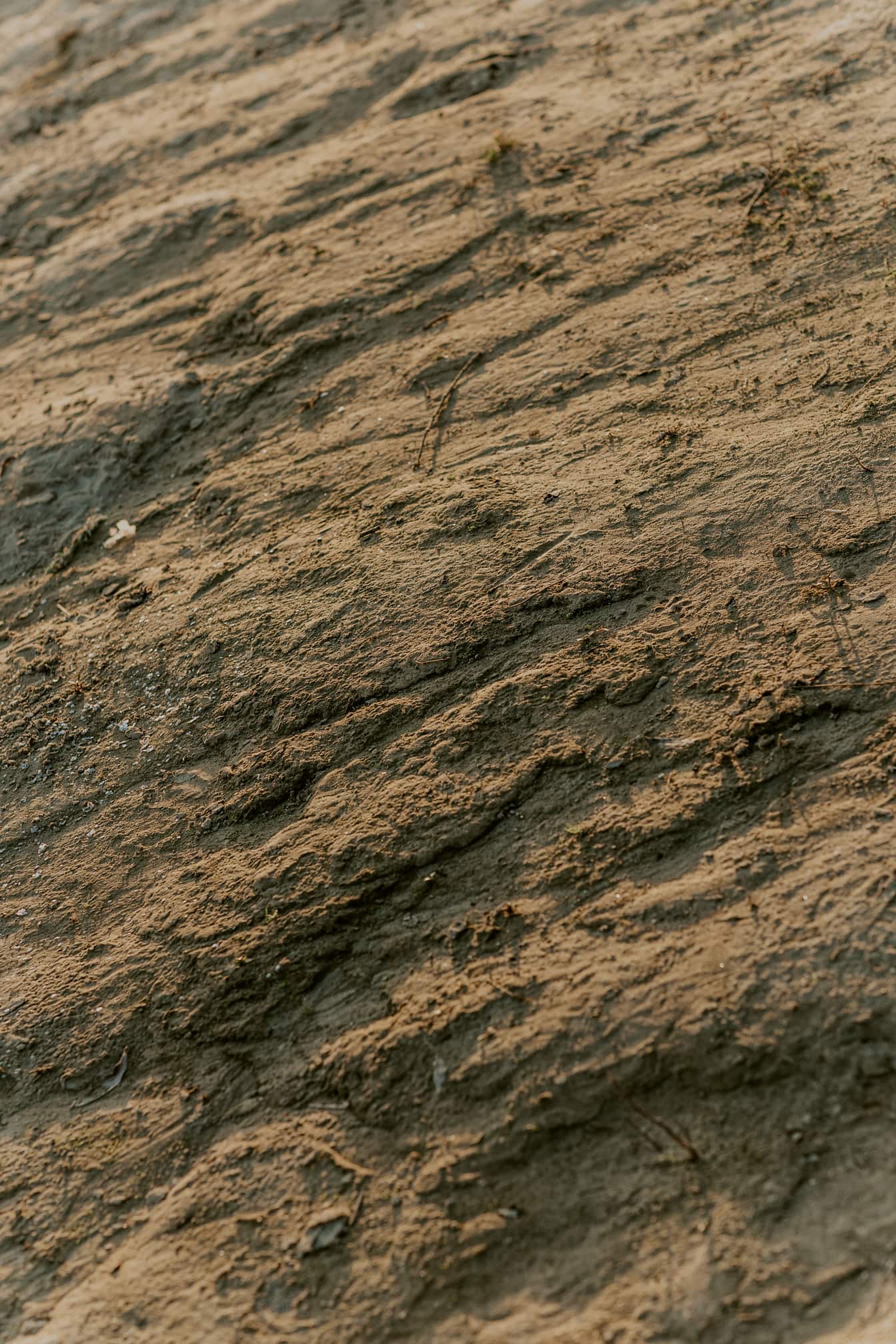 Желтовато-коричневая шероховатая поверхность сухой грязи и песка