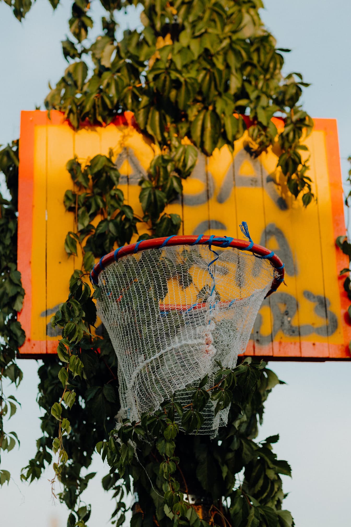 Nærbilde av håndlaget basketballkurv overgrodd i eføyplante