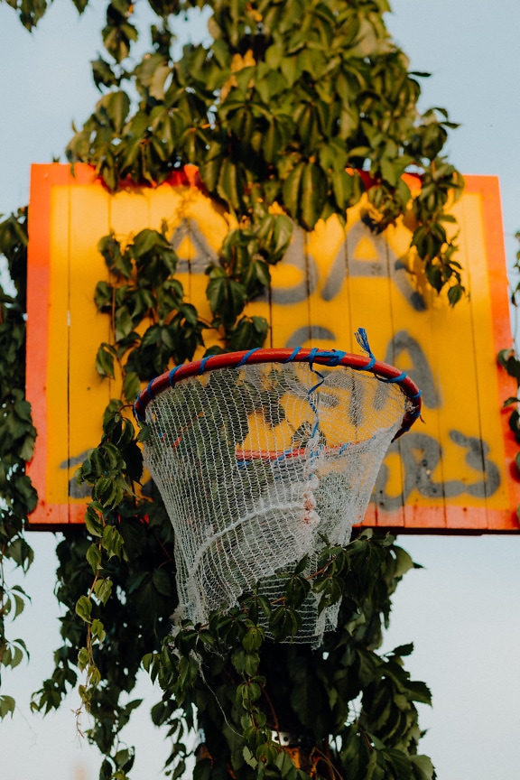 Gros plan d’un panier de basket-ball fait à la main envahi par la végétation dans une plante de lierre