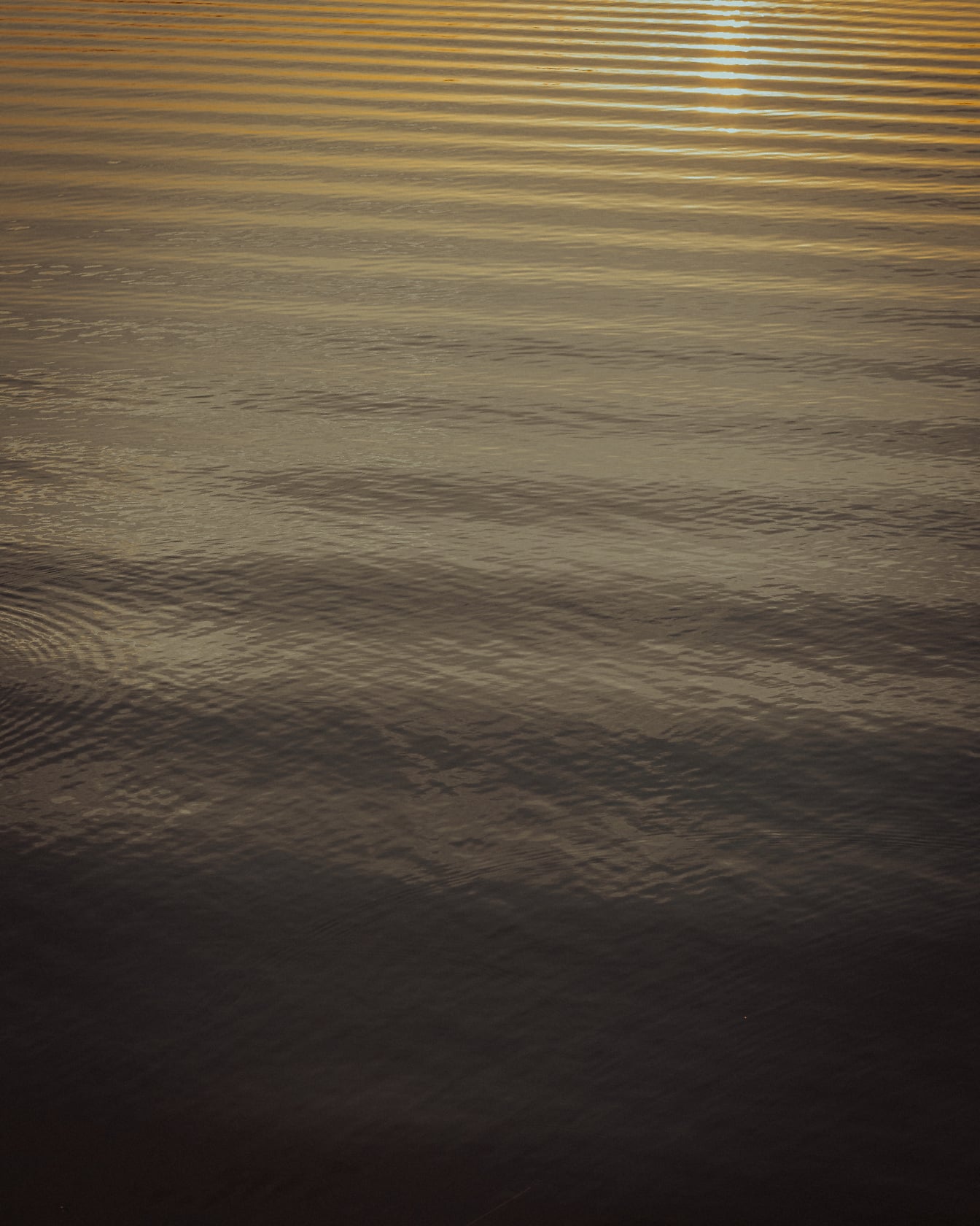 Nahaufnahme der Wasseroberfläche des Flusses bei Sonnenuntergang mit Reflexion