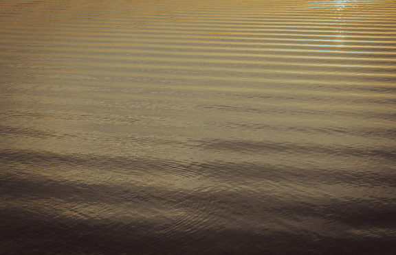 Detailný záber na vodnú hladinu jazera pri východe slnka