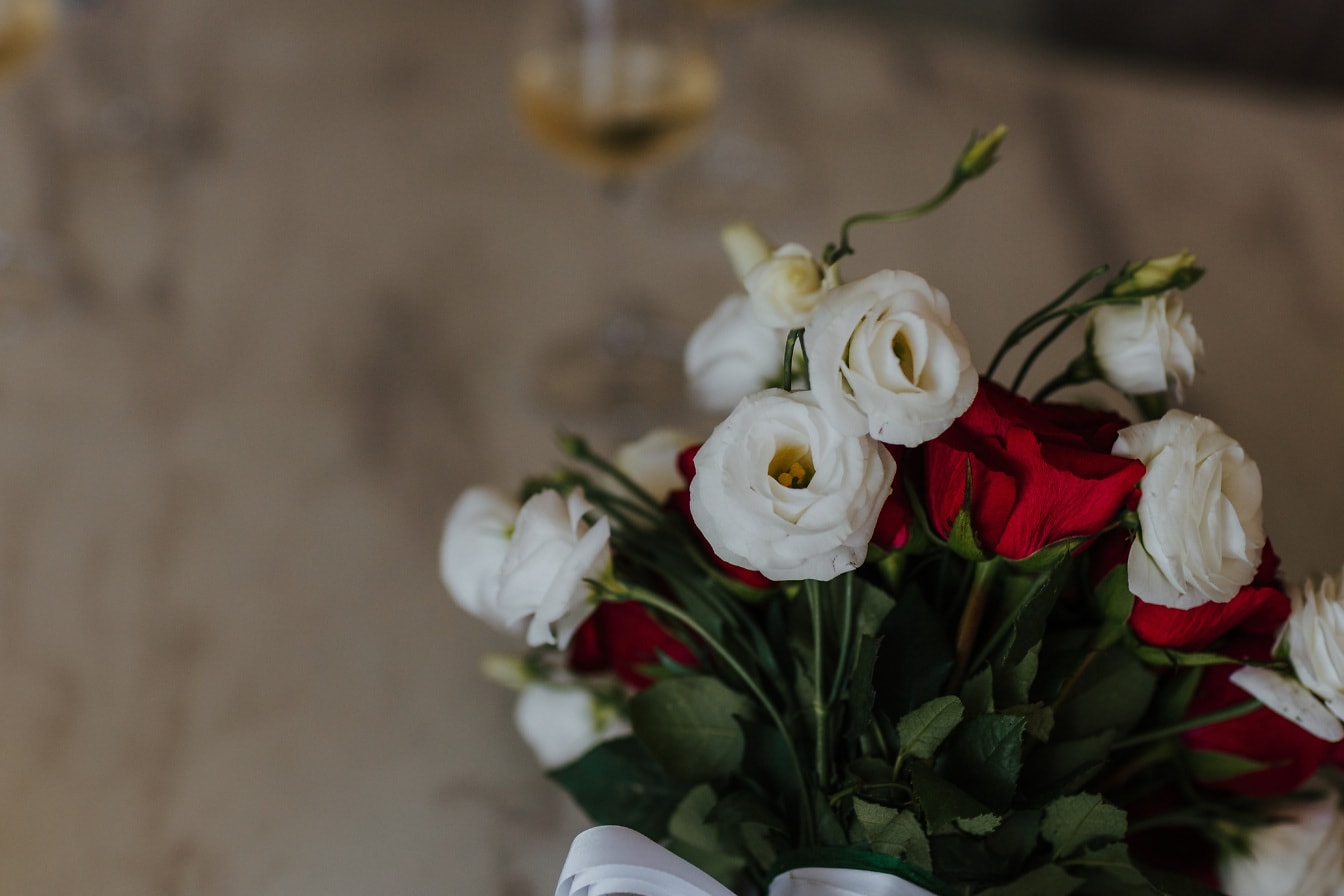 Білі і темно-червоні троянди: букет квітів крупним планом