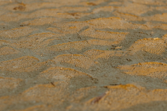 Close-up texture of yellowish sand with sunlight shadow