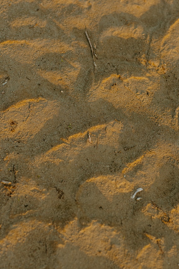 Light brown dry dirty sand on ground with shadow texture