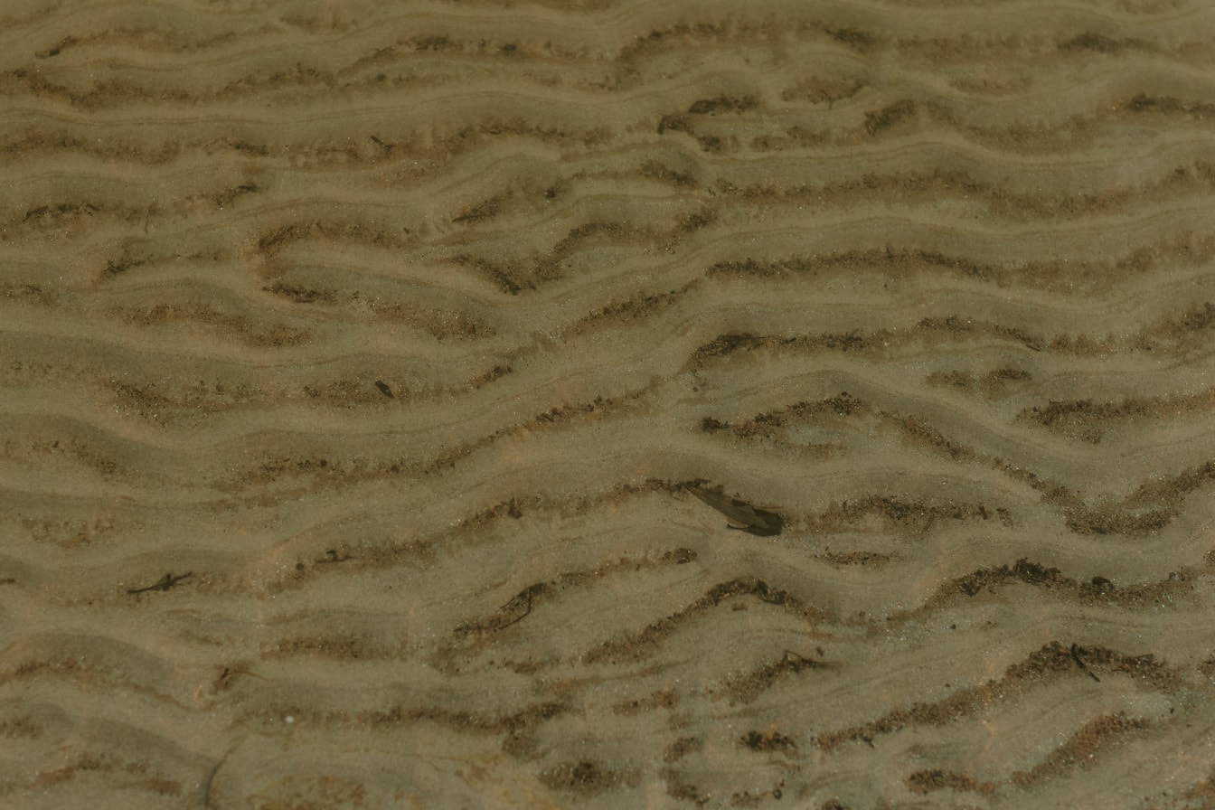 Tekstur close-up bawah air pasir basah berwarna coklat muda