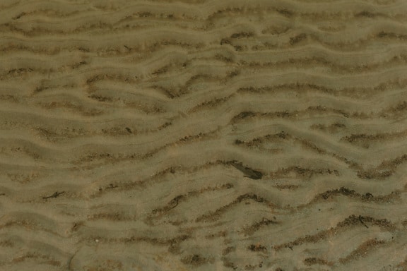 Light brown wet sand underwater close-up texture