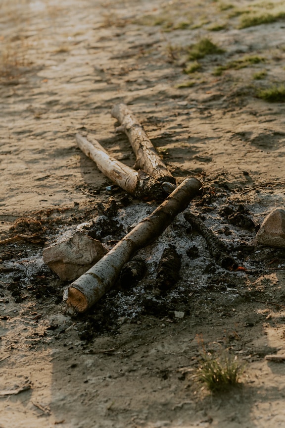 Oltott tűzifa parázszal és hamuval a tábortűz helyén
