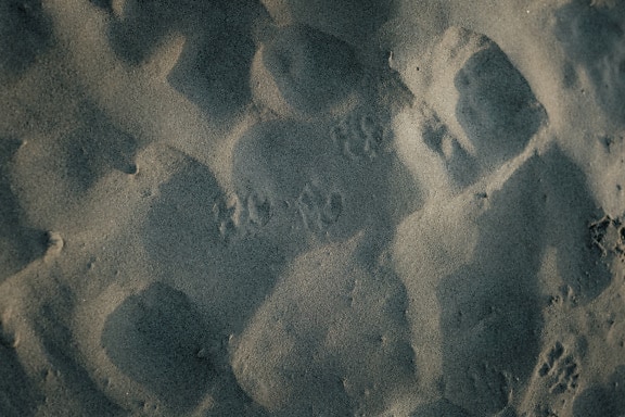 Close-up texture of grey sand with rough surface
