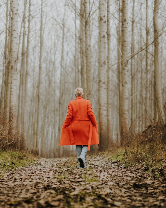 giovane donna, a piedi, sentiero nel bosco, cappotto, giallo arancio, autunno, persona