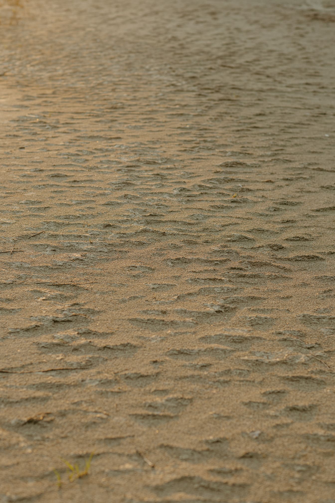 Textur von rauem, hellbraunem Sand auf dem Boden