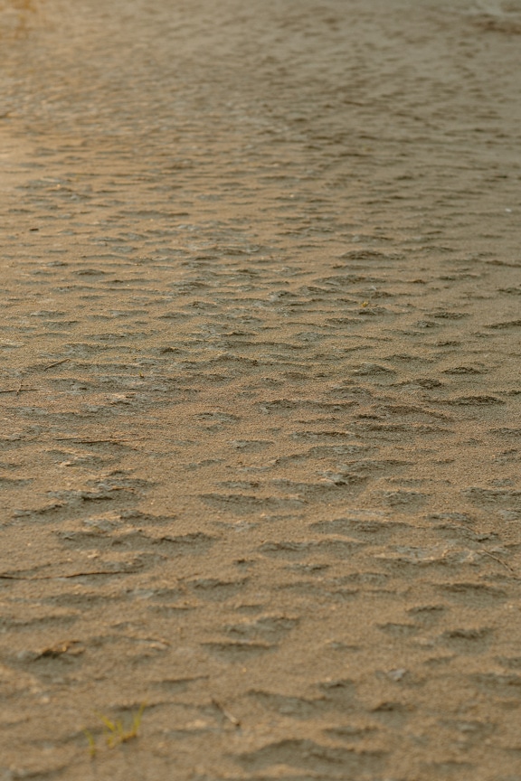 Texture of rough light brown sand on ground