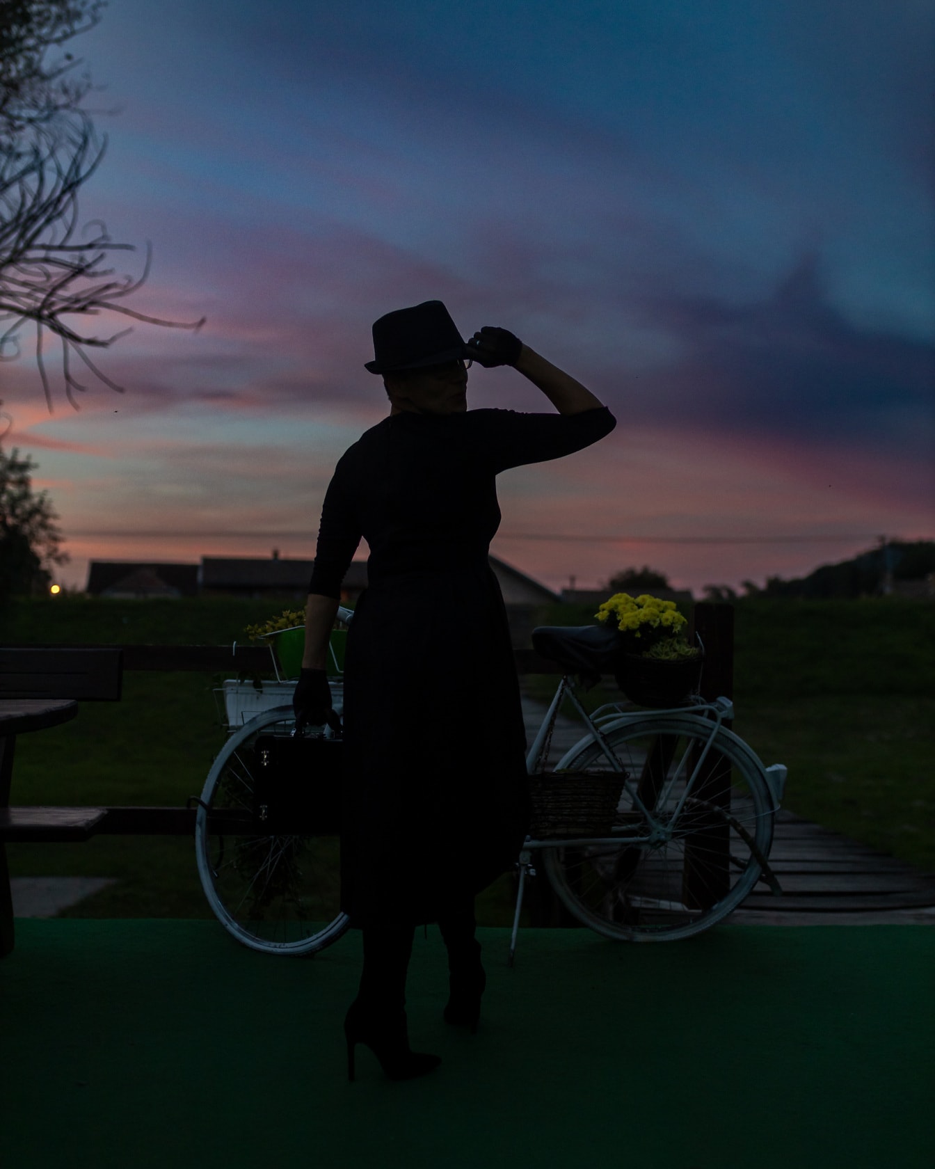 Silhouet van buitensporige dame met fiets en bij schemering