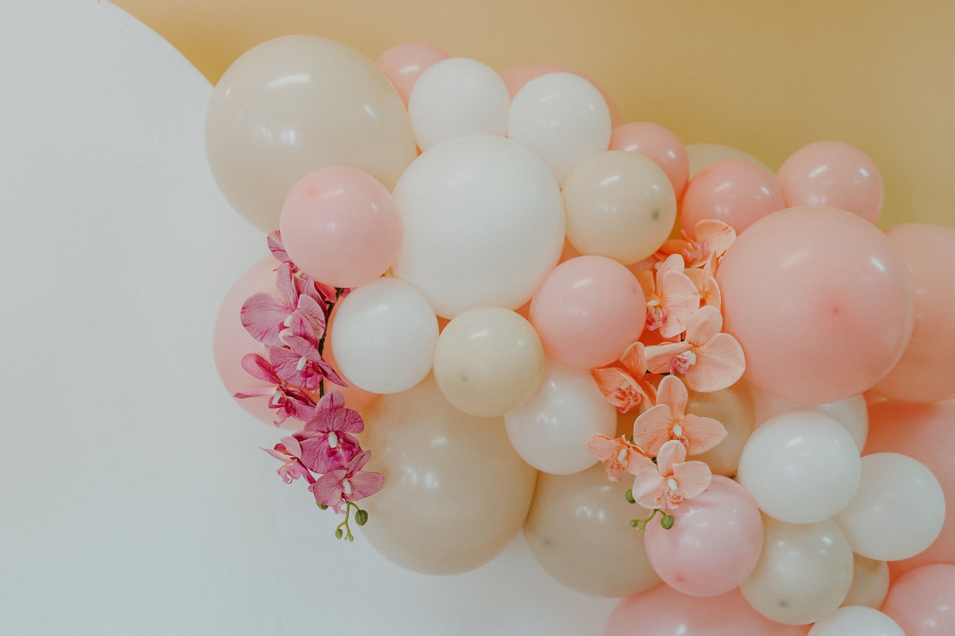 柔和的彩色气球与粉红色的兰花花朵