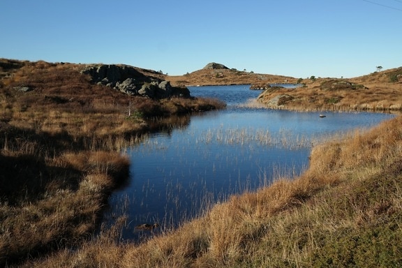 Coastline of small pond at natural park in autumn season
