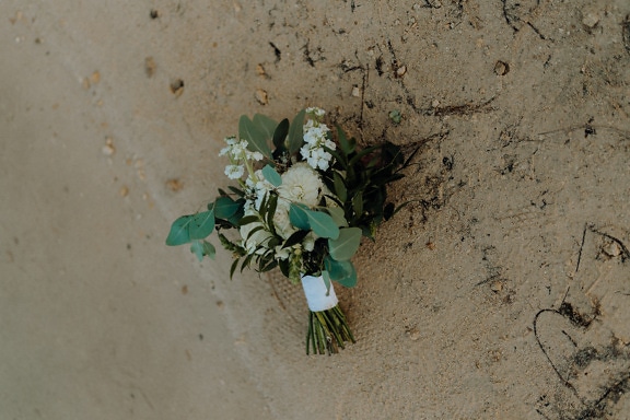 Small white flowers bouquet on wet sand