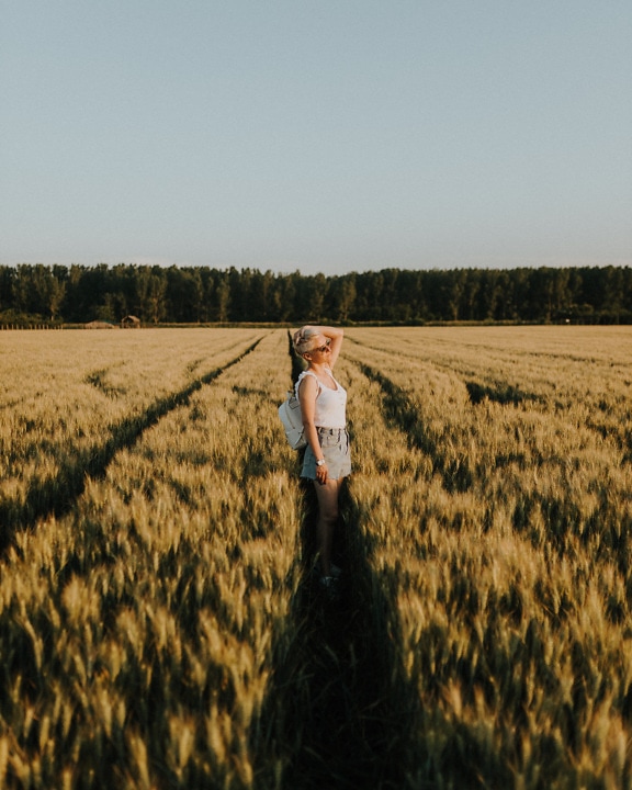 Guapo, flaco, mujer, posando, campo de trigo, trigo, paisaje