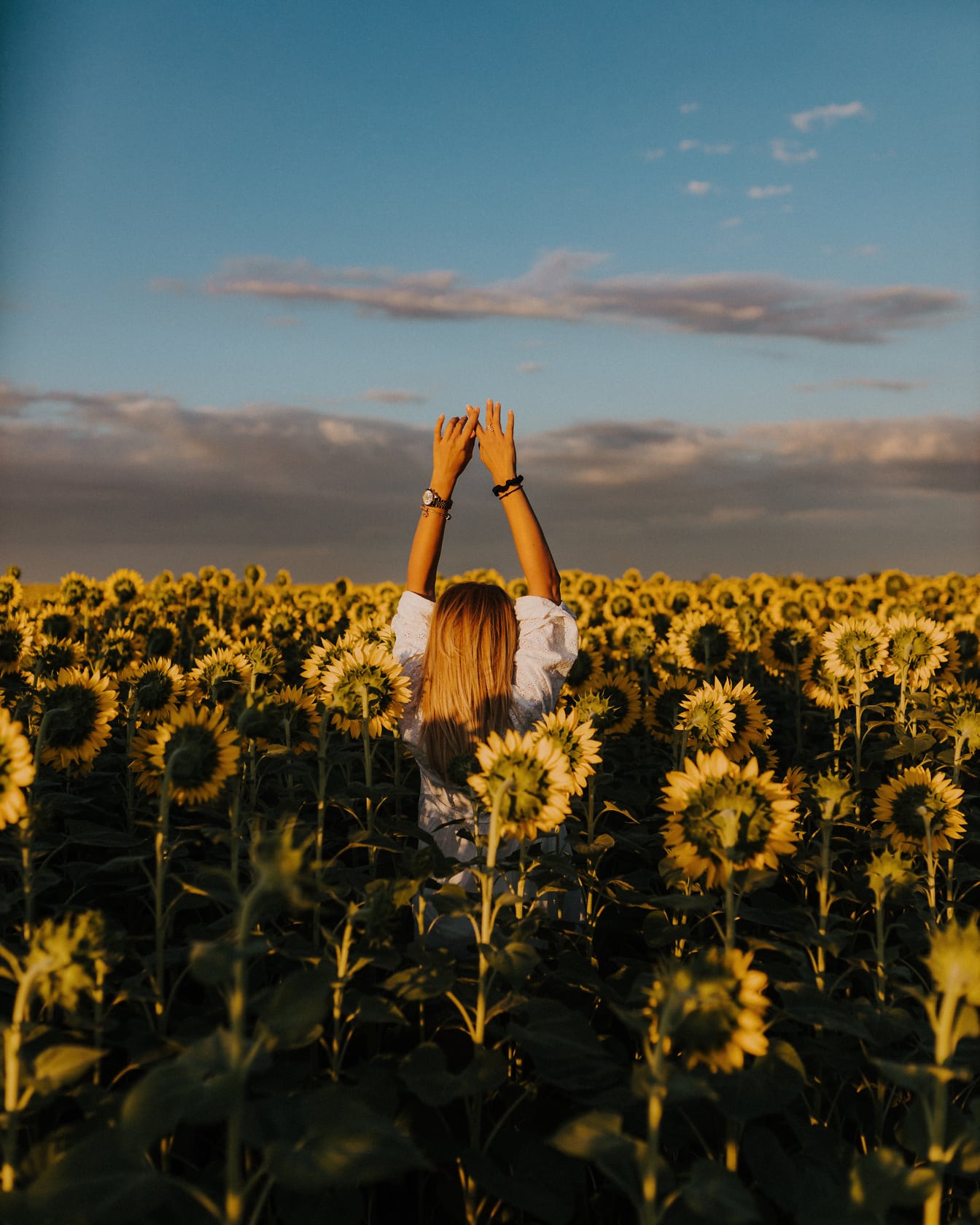 Fröhliche Frau steht mit erhobenen Händen im Sonnenblumenfeld