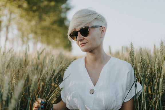 Guapo, mujer, camiseta, blanco, campo de trigo, trigo, gafas de sol